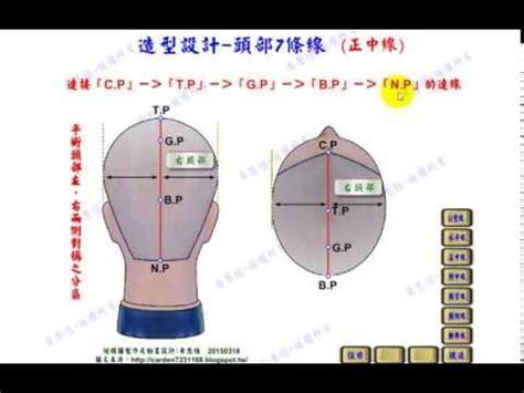 頭部七條基準線|髮型設計系列:15個基準點及7條主分區線的位置與作用。